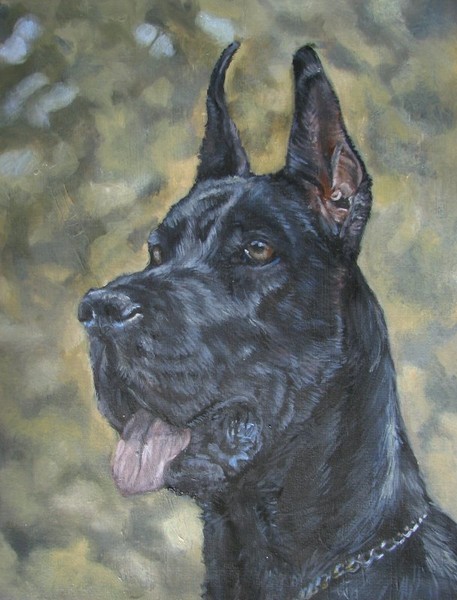 Great Dane