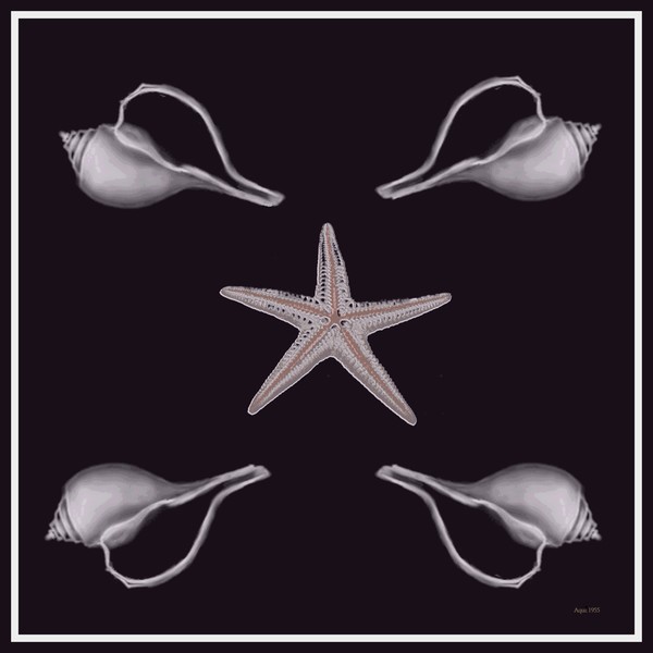 The living ocean