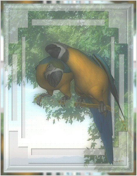 Parrot