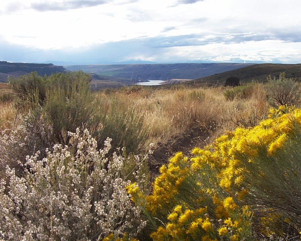 Columbia River Overlook