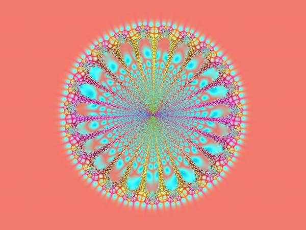 Peacock Flower