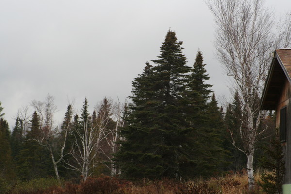 Autumn in maine