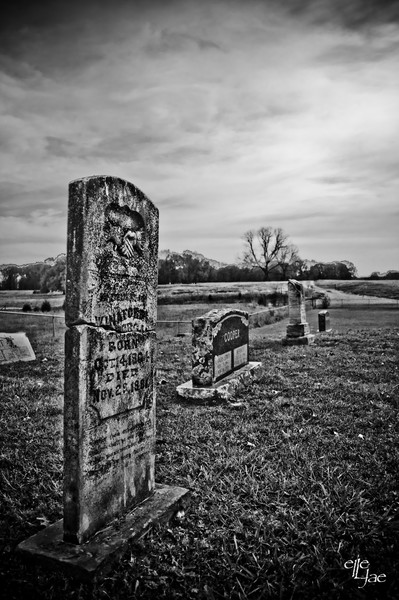 Cemetery #8