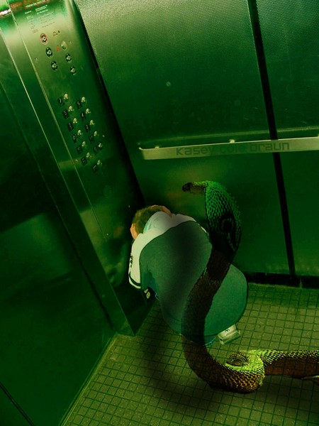 Cornered By Cobra