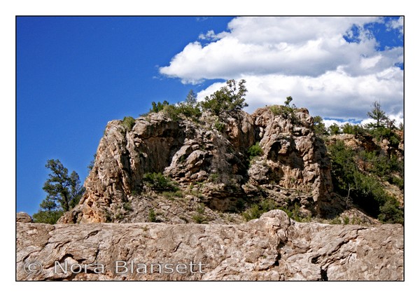 New Mexico