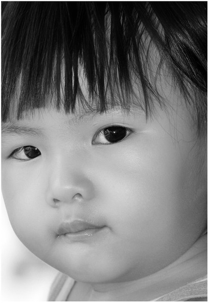 The Eyes