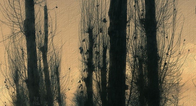 Warm Winter