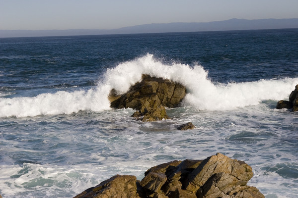 Ocean's Beauty