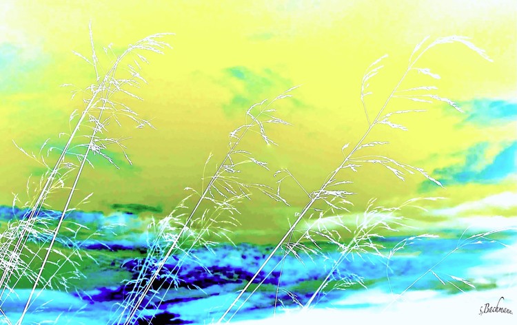  Blue and yellow !