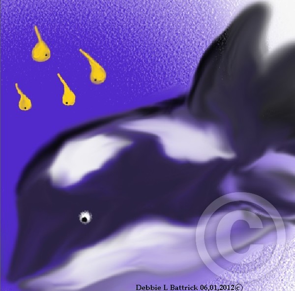 Chubby The Whale