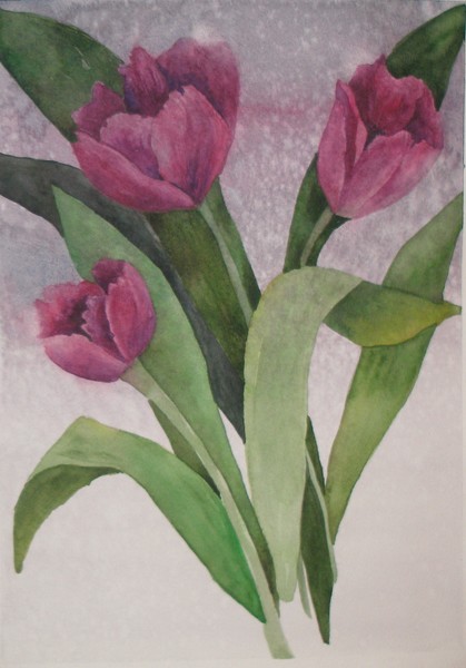 Tulips in Purples