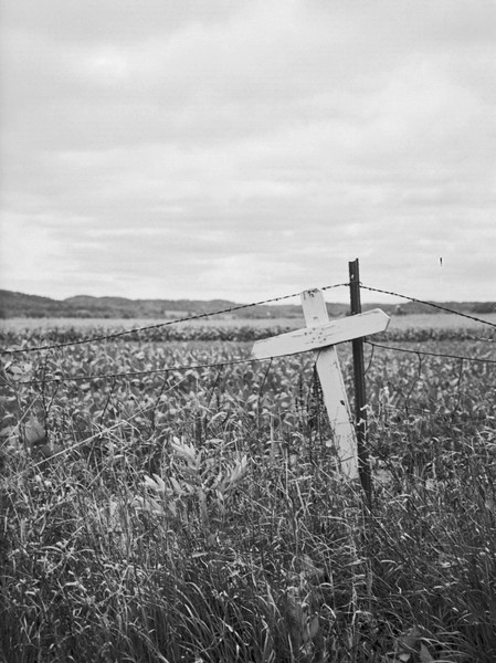 White Cross