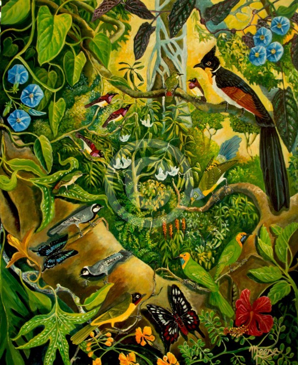 Eastern intruder, southern winter garden