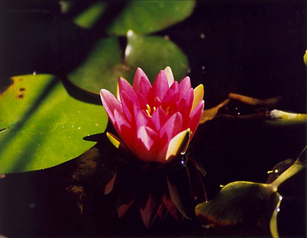 Reflective Moment