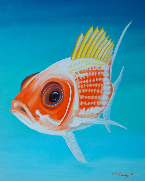 Squirrelfish