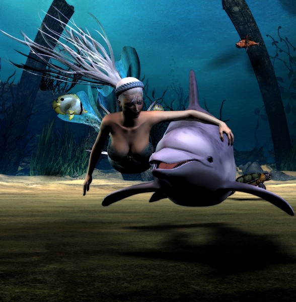 Swimming with Dolphins