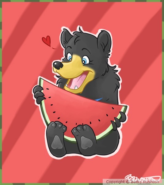 Bears love watermelon