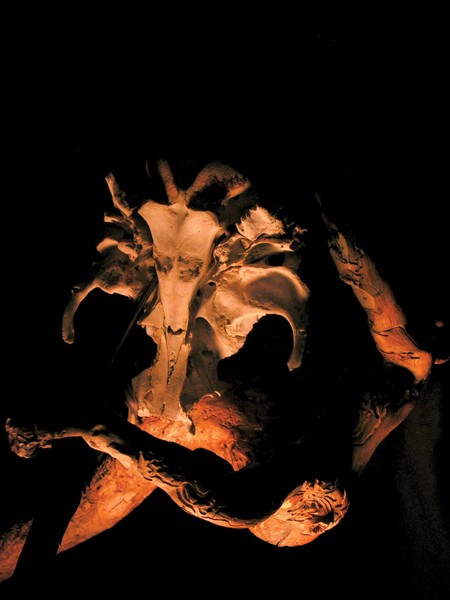 alien nightmare