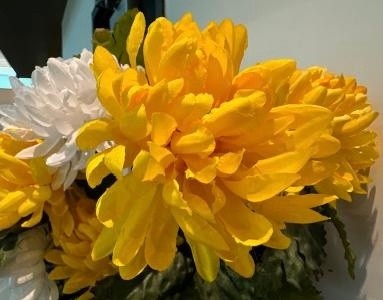 IMG 0627