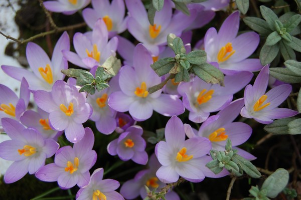 Spring is in the Air