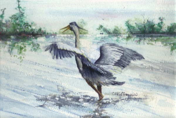 flight