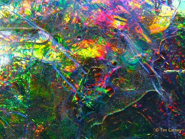 Water 9081