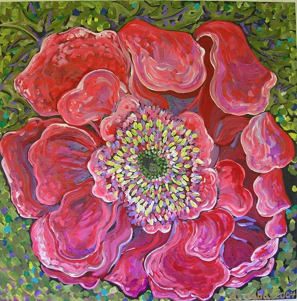 Bloom