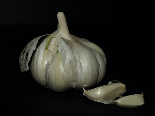 GARLIC