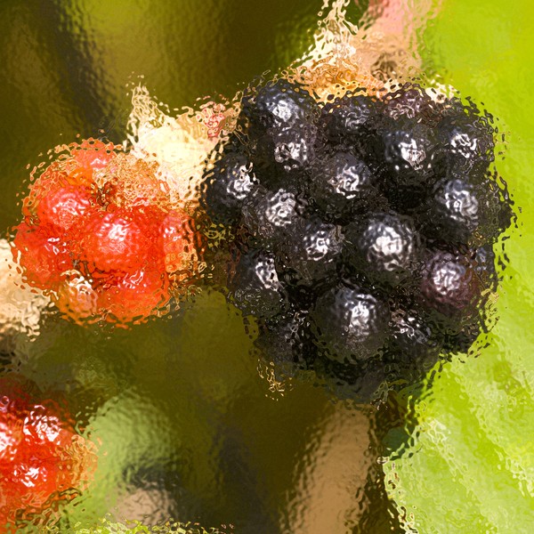 Blackberries