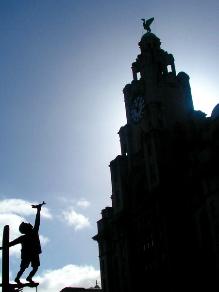 reach for the sky