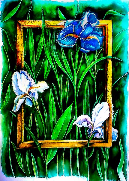 Iris flowers.