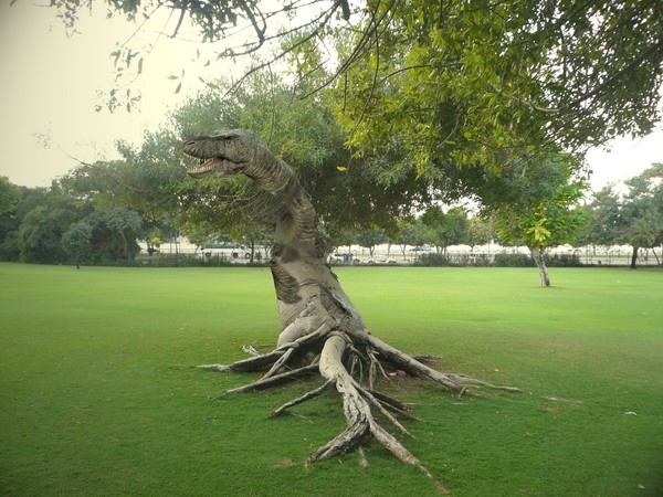 Beautiful tree