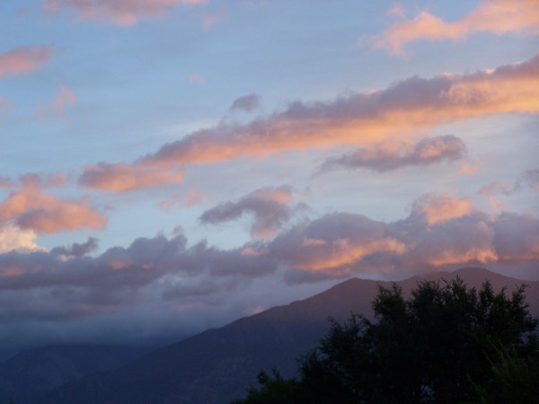after the rain