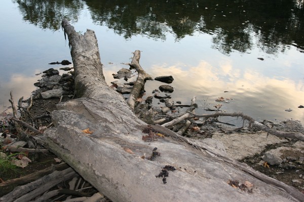 Reflections