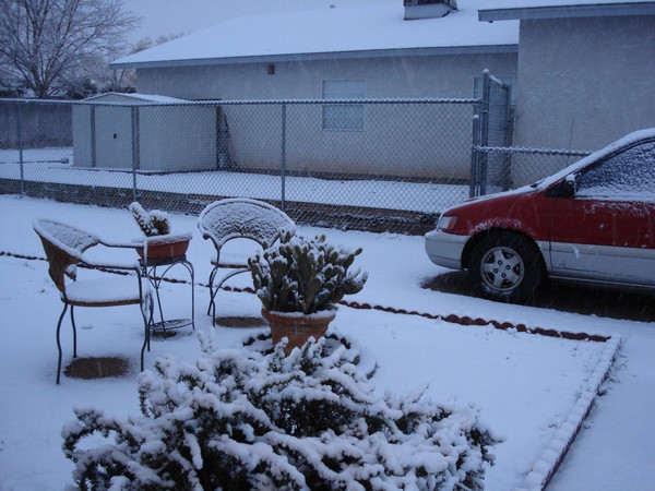 #2 Snows in las vegas