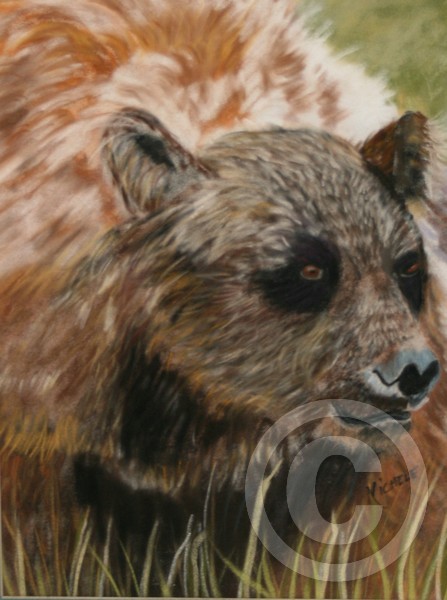 The Bear