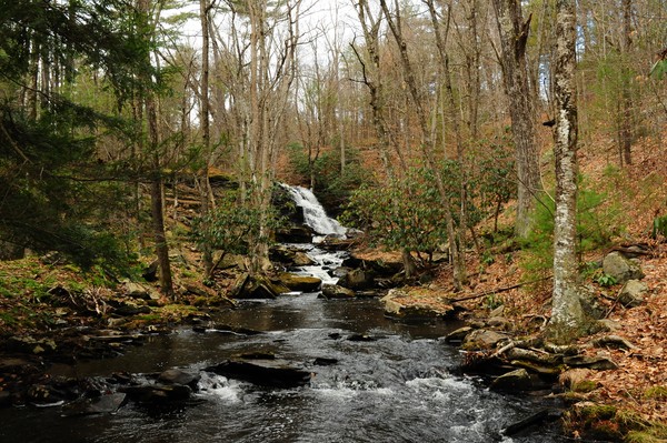 Mountain Stream Waterfall