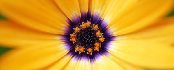 Centered Center