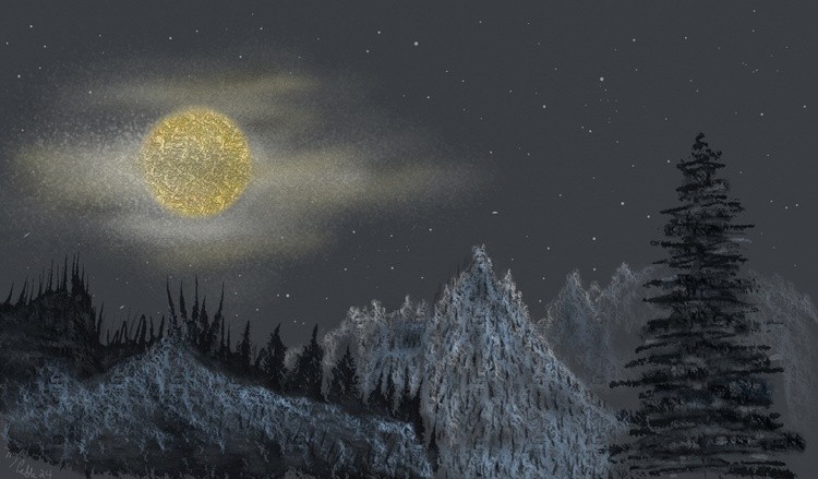 SNOWY NIGHT
