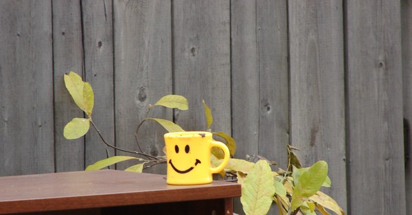 Happy Cup