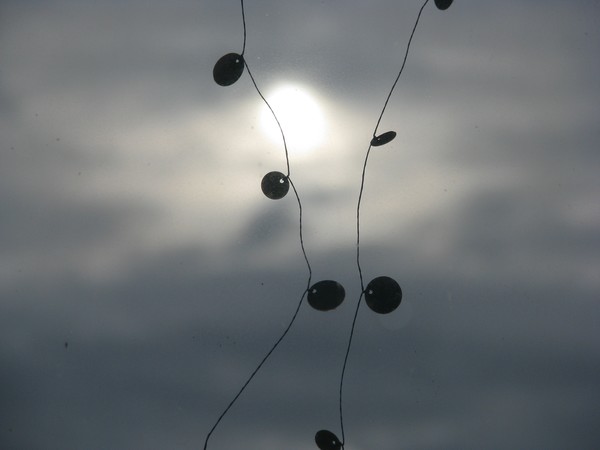 one moment..2009