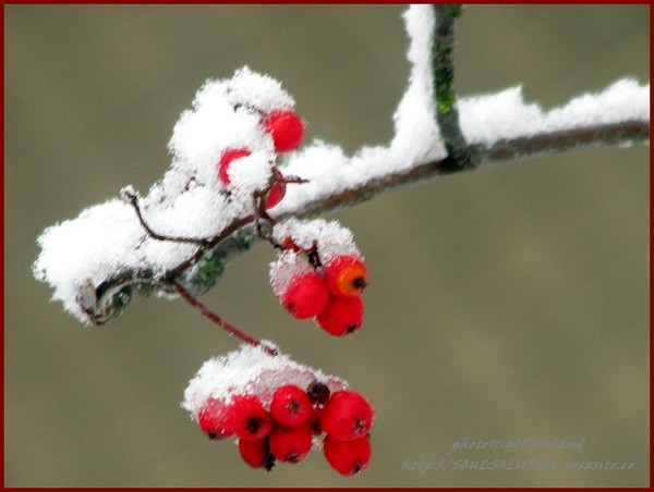 ..the weight of..pure...