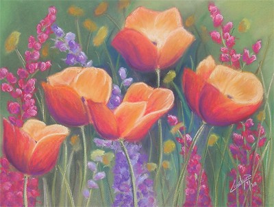 Wild Flowers