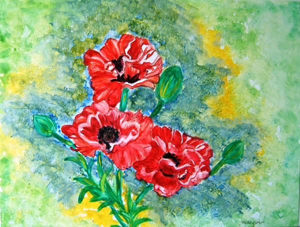 Elegant Poppies