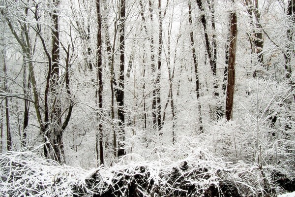 A Light Dusting