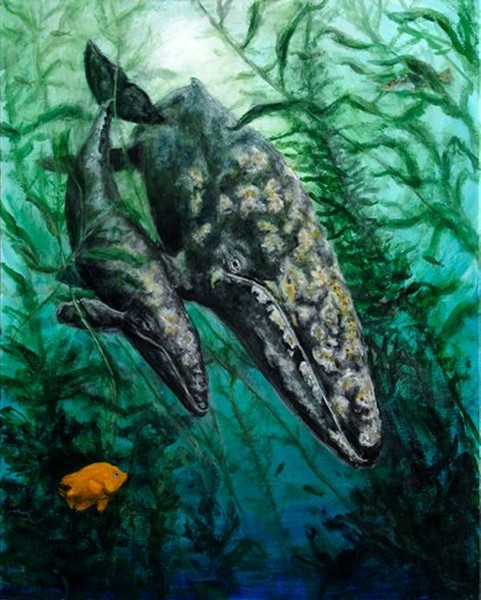 Grey whale and calf