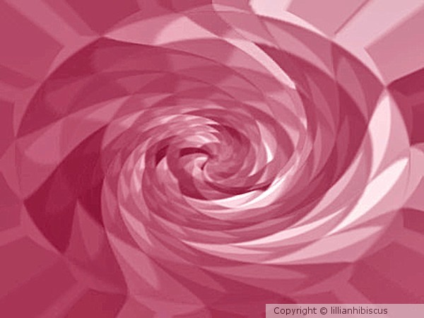 Pink Jewel Rose