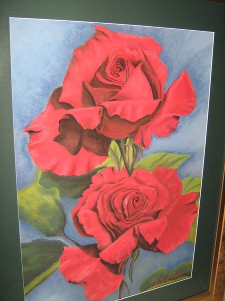Red velvety rose.
