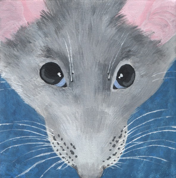 Cloud Rat