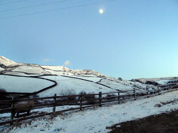 Winter's Evening Light